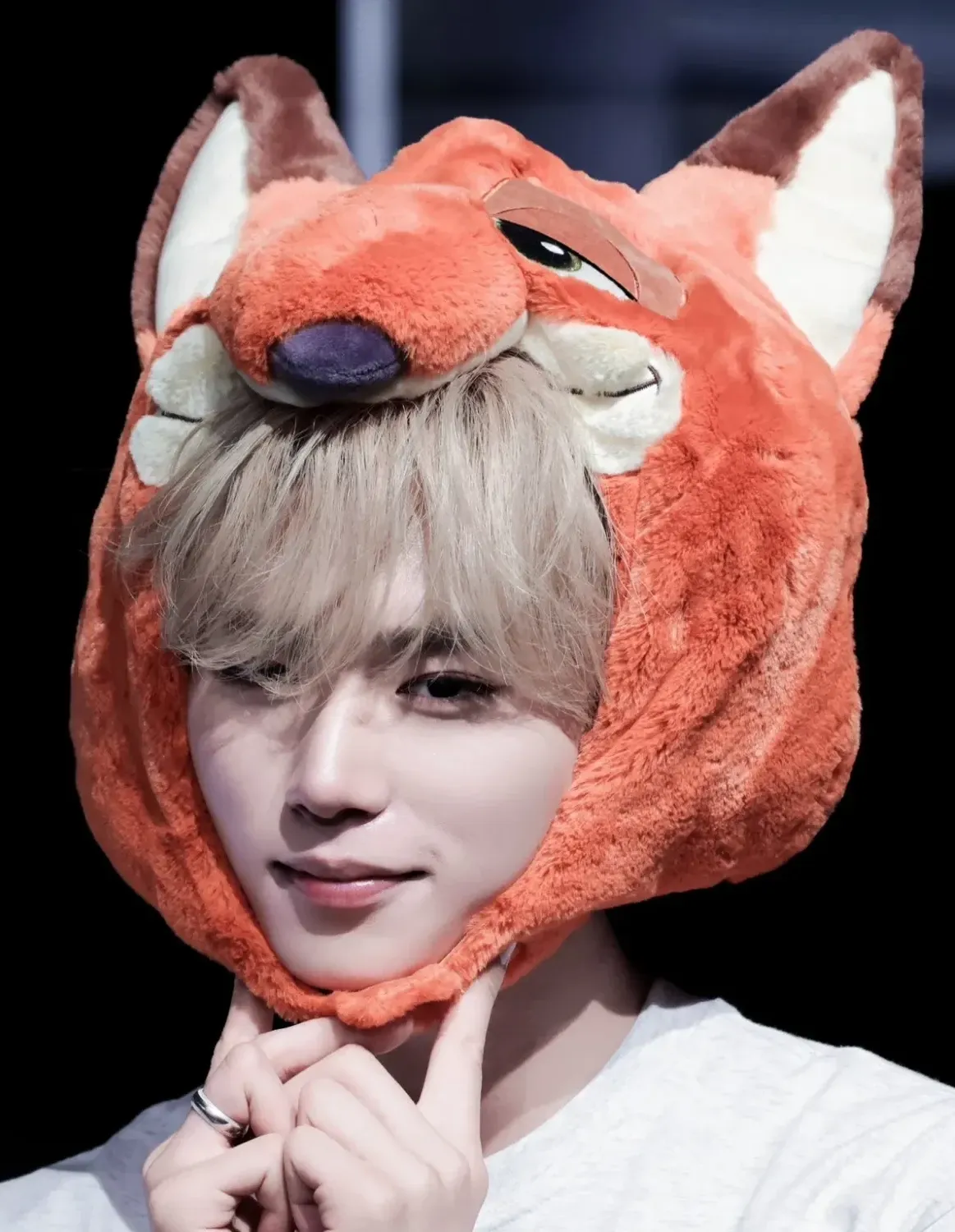 김준서 (알파드라이브원) 팬이 찍은 순간