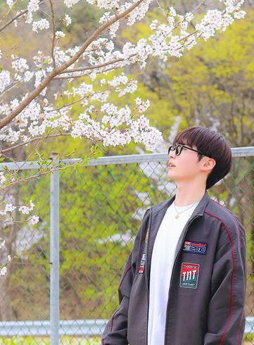 K-POP posts beloved by 성한빈 (제로베이스원) fans