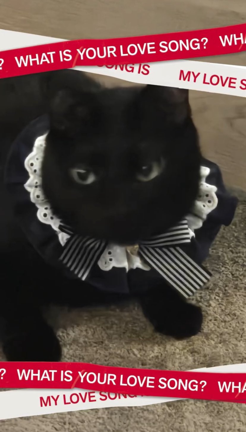 The most beloved wallpaper among BTS's fans