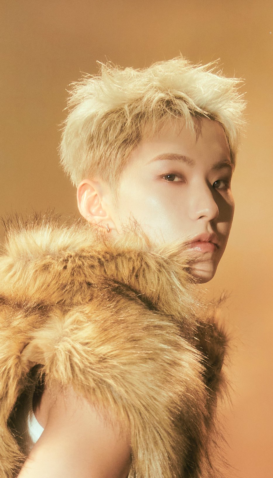 A heartfelt wallpaper shared by Hoshi (SEVENTEEN)'s fans