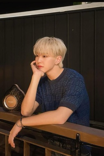 A moment captured by Hoshi (SEVENTEEN)'s fan